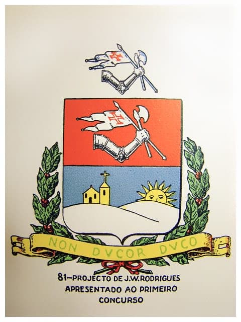 Primeiro Projeto — sem coroa, com igreja e sol; o braço voltado para a direita.